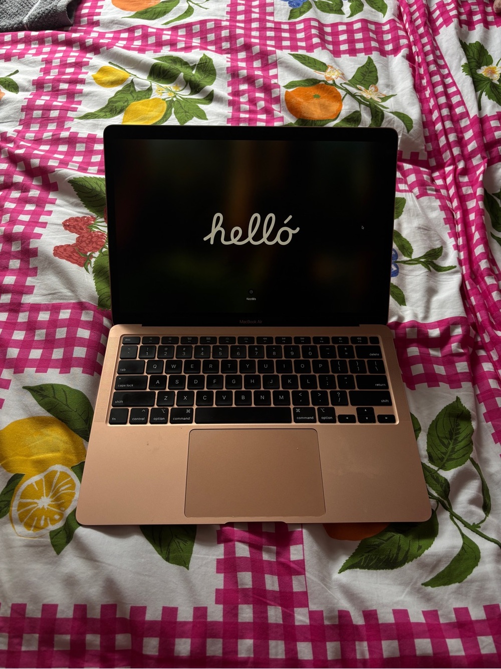 Rose Gold Apple MacBook Air